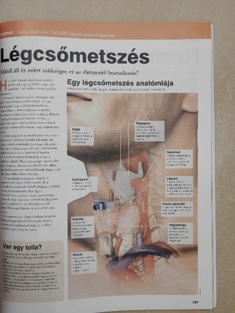 Az emberi test [antikvár]