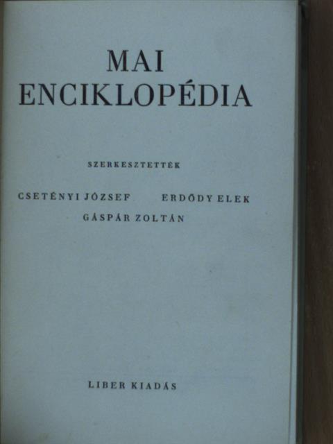Mai enciklopédia [antikvár]