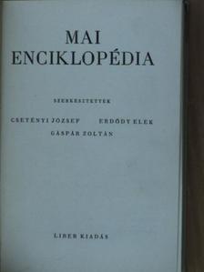 Mai enciklopédia [antikvár]