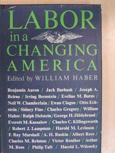 Benjamin Aaron - Labor in a changing America [antikvár]