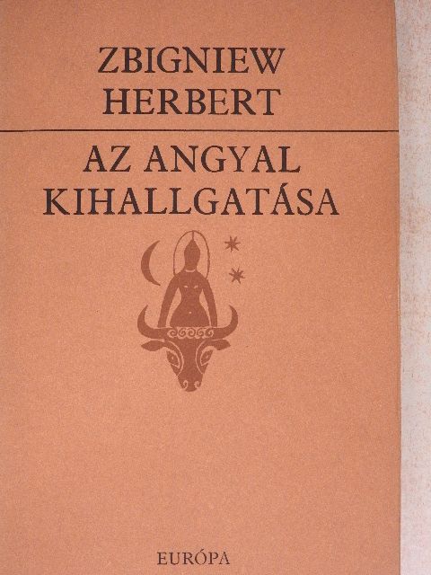 Pályi András - Az angyal kihallgatása [antikvár]