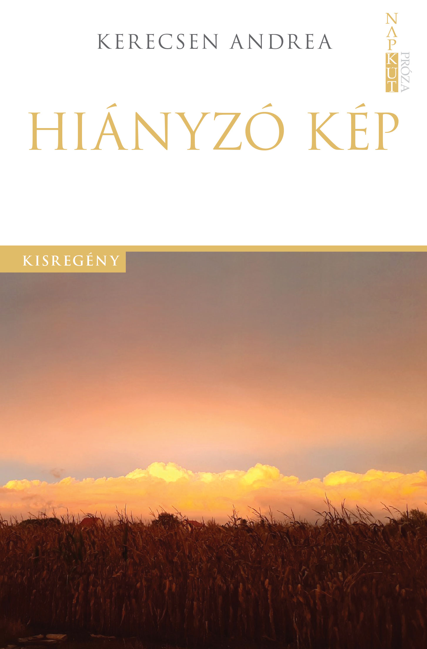 Kerecsen Andrea - Hiányzó kép