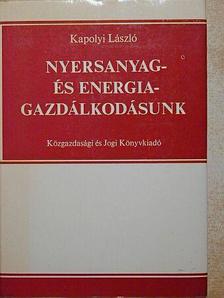 Kapolyi László - Nyersanyag- és energiagazdálkodásunk [antikvár]