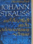 Otto Schneidereit - Johann Strauss und die Stadt an der schönen blauen Donau [antikvár]