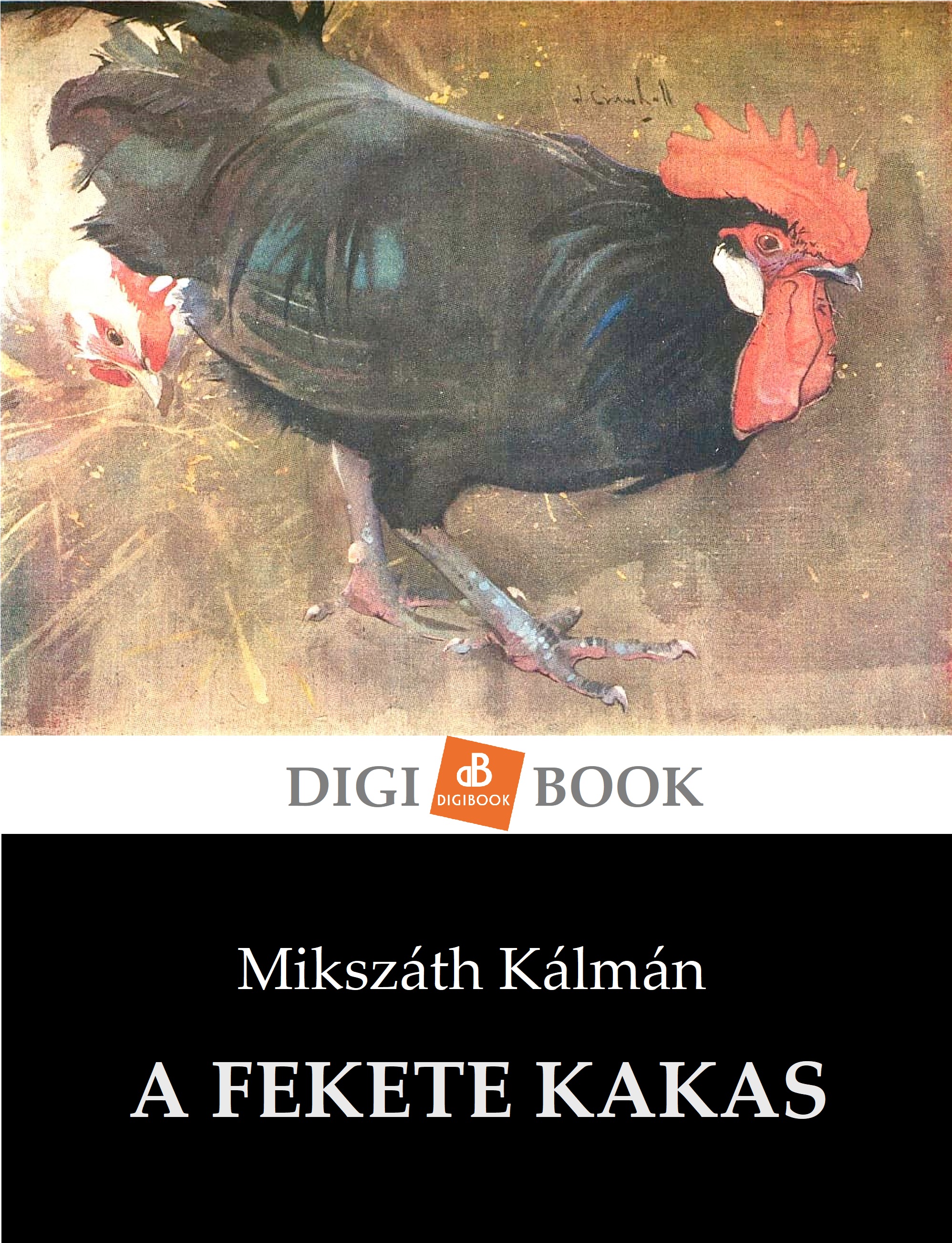 Mikszáth Kálmán - A fekete kakas [eKönyv: epub, mobi]