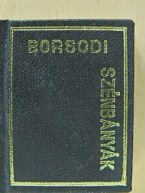Kiss Dezső - Borsodi Szénbányák (minikönyv) [antikvár]