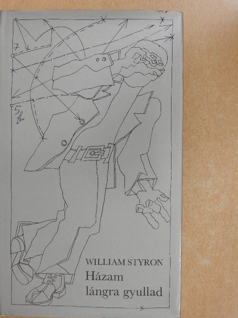 William Styron - Házam lángra gyullad [antikvár]