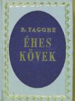 Rabindranath Tagore - Éhes kövek (minikönyv) [antikvár]