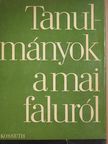 Csizmadia Ernő - Tanulmányok a mai faluról [antikvár]