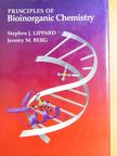 Jeremy M. Berg - Principles of Bioinorganic Chemistry [antikvár]