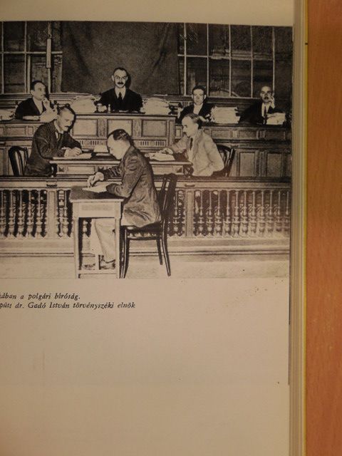 Hegedüs Sándor - Egy politikai per kulisszatitkai [antikvár]