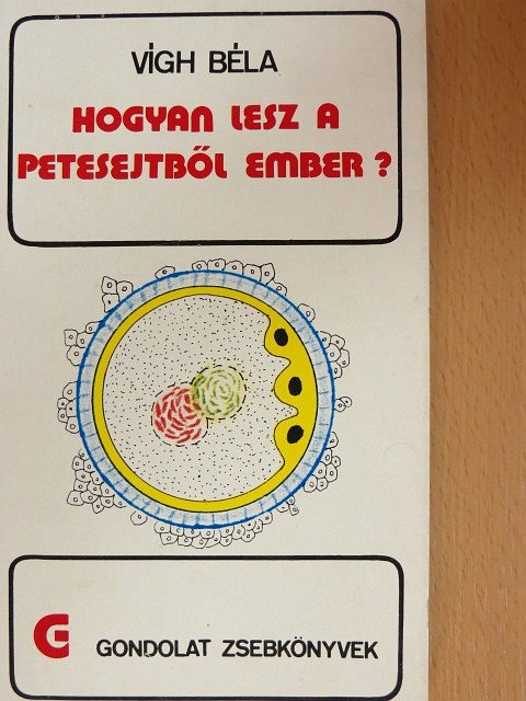 Vígh Béla - Hogyan lesz a petesejtből ember? [antikvár]