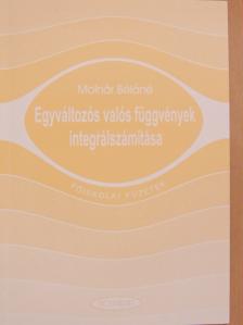 Molnár Béláné - Egyváltozós valós függvények integrálszámítása [antikvár]