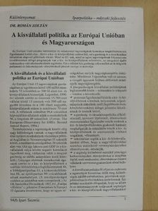 Dr. Román Zoltán - A kisvállalati politika az Európai Unióban és Magyarországon [antikvár]