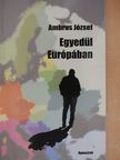 Ambrus József - Egyedül Európában [antikvár]