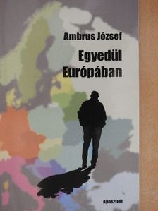 Ambrus József - Egyedül Európában [antikvár]