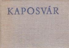 Leskó László - Kaposvár (minikönyv) [antikvár]