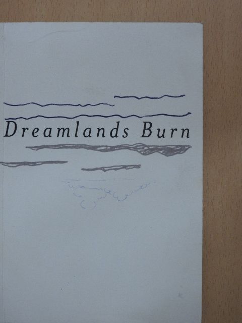 Brandon LaBelle - Dreamlands Burn - Nordic Art Show 2006 [antikvár]