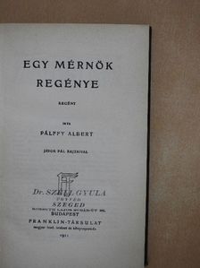 Pálffy Albert - Egy mérnök regénye [antikvár]