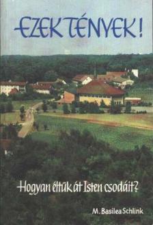 SCHLINK, M,BASILEA - Hogyan éljük át Isten csodáit? [antikvár]