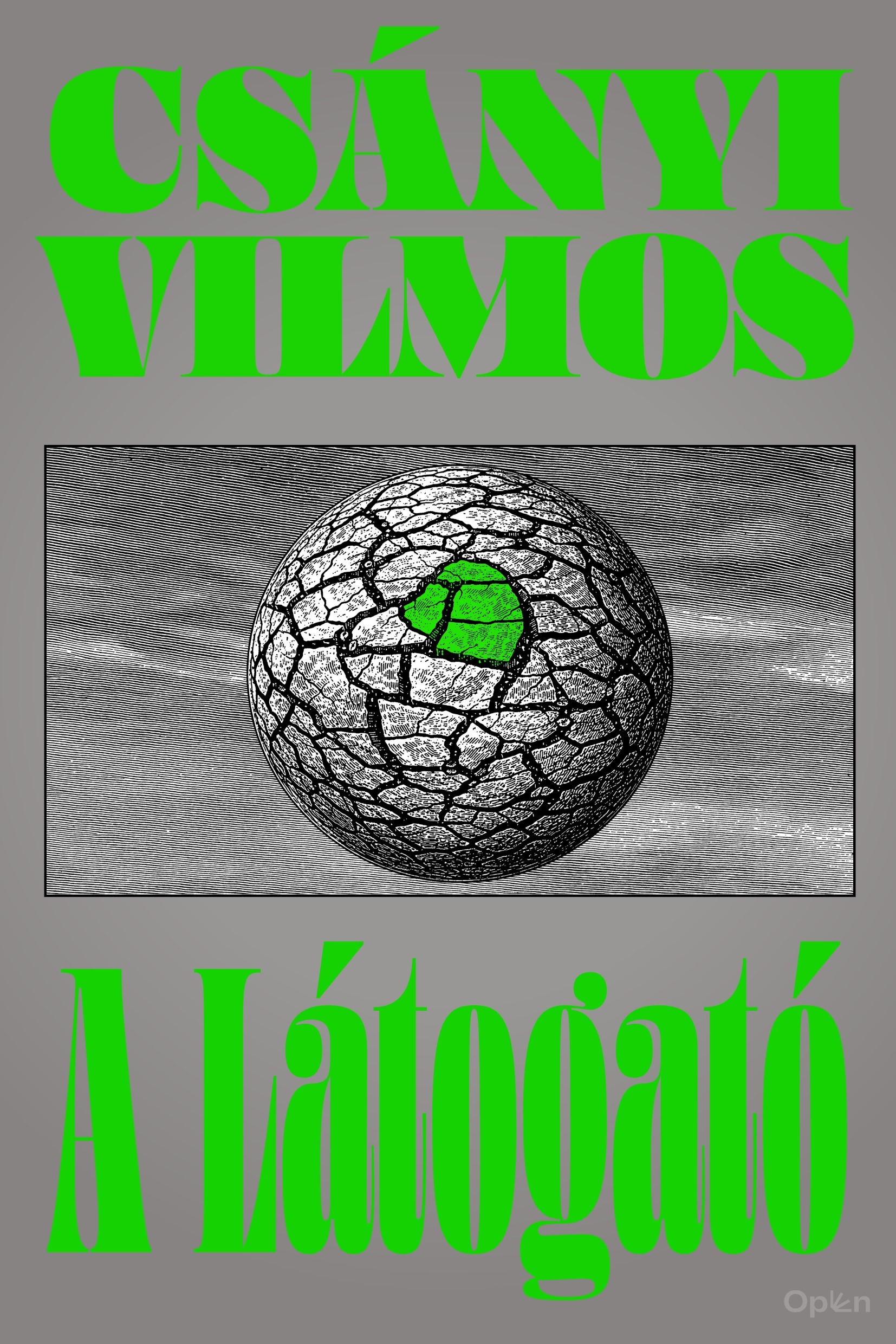CSÁNYI VILMOS - A látogató