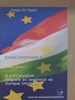 Román Zoltán - A kisvállalatok helyzete és segítésük az Európai Unióban [antikvár]