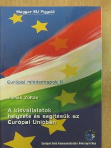 Román Zoltán - A kisvállalatok helyzete és segítésük az Európai Unióban [antikvár]
