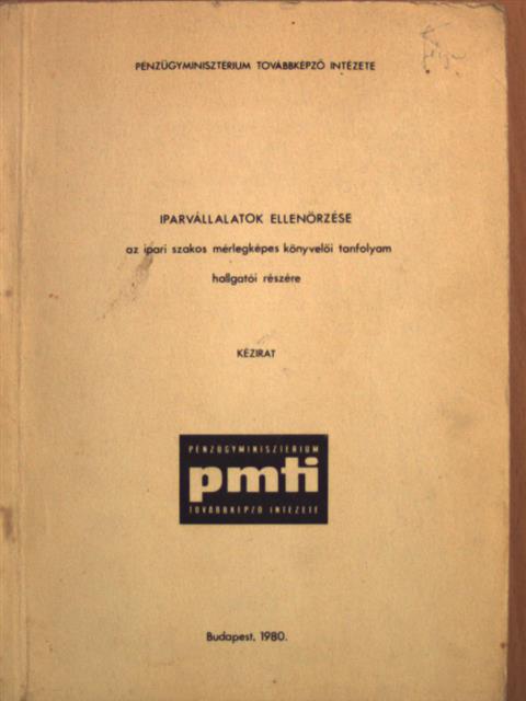 Rádfai Tibor - Iparvállalatok ellenőrzése [antikvár]
