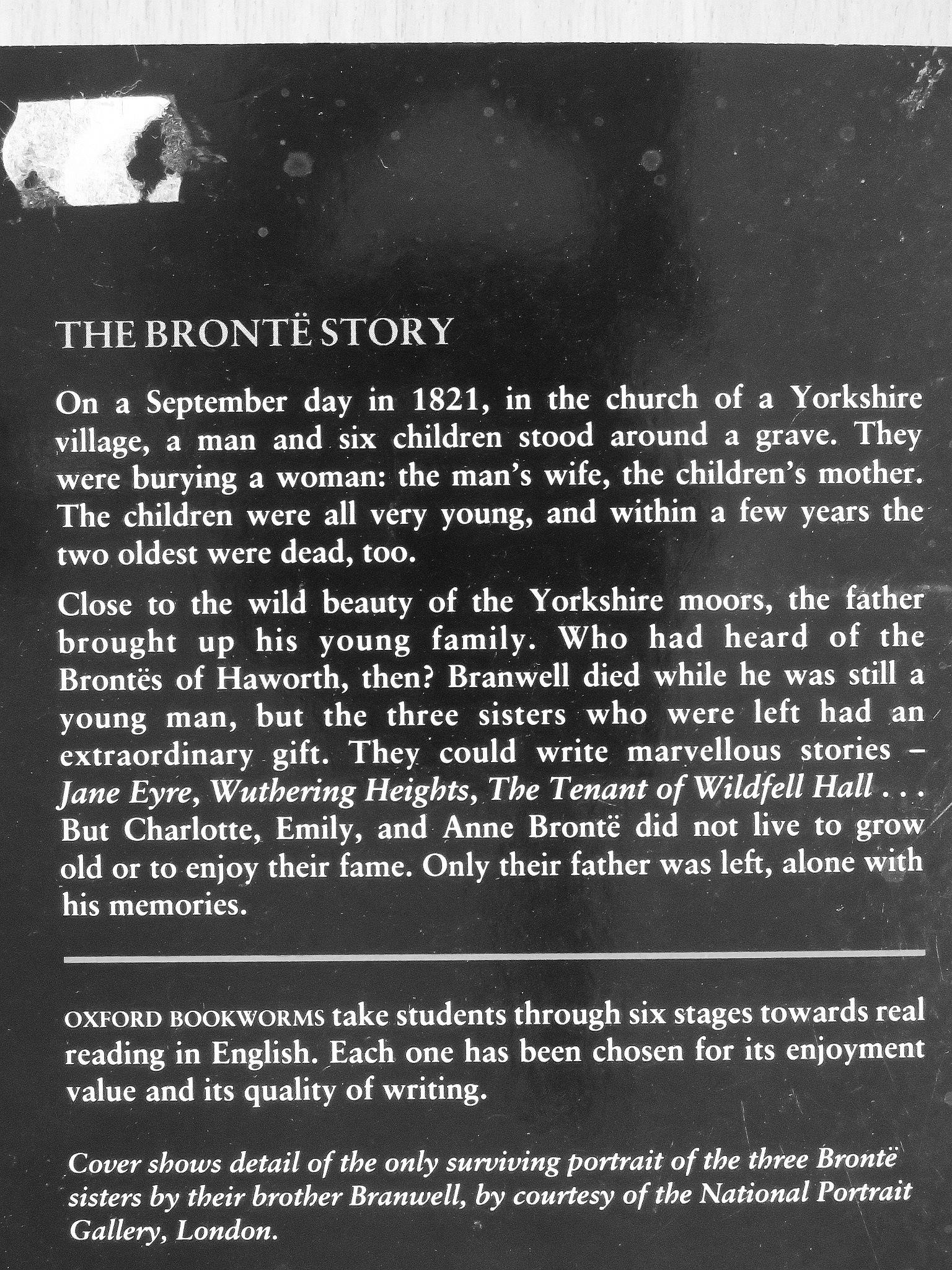 Tim Vicary - The Brontë Story [antikvár]
