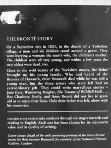 Tim Vicary - The Brontë Story [antikvár]