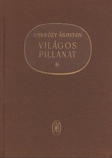 AMBRÓZY ÁGOSTON - Világos pillanat [antikvár]