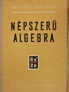 Gallai Tibor - Népszerű algebra [antikvár]