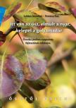 Lukács Józsefné - Ferencz Éva - Itt van az ősz, elmúlt a nyár, kelepel a gólyamadár