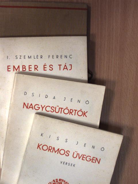Dsida Jenő - Kormos üvegen/Nagycsütörtök/Ember és táj [antikvár]