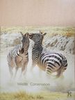 Alan Hunt - Wildlife & Conservation 2002 [antikvár]