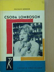 Pálfalvi Nándor - Csoda Lomboson [antikvár]
