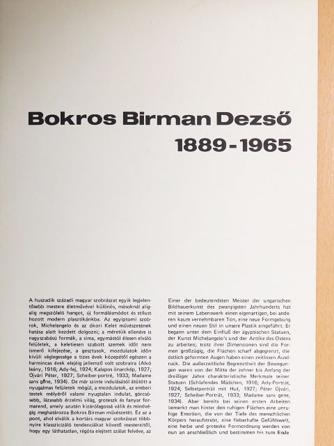 Bokros Birman Dezső - Bokros Birman Dezső 1889-1965 [antikvár]