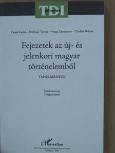Csapó Csaba - Fejezetek az új- és jelenkori magyar történelemből [antikvár]
