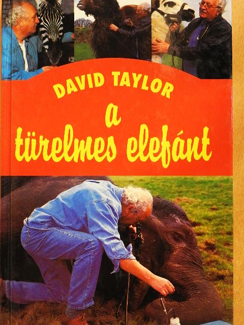 David Taylor - A türelmes elefánt [antikvár]