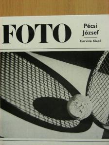 Féjja Sándor - Pécsi József munkássága [antikvár]