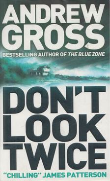 Andrew Gross - Don't Look Twice [antikvár]