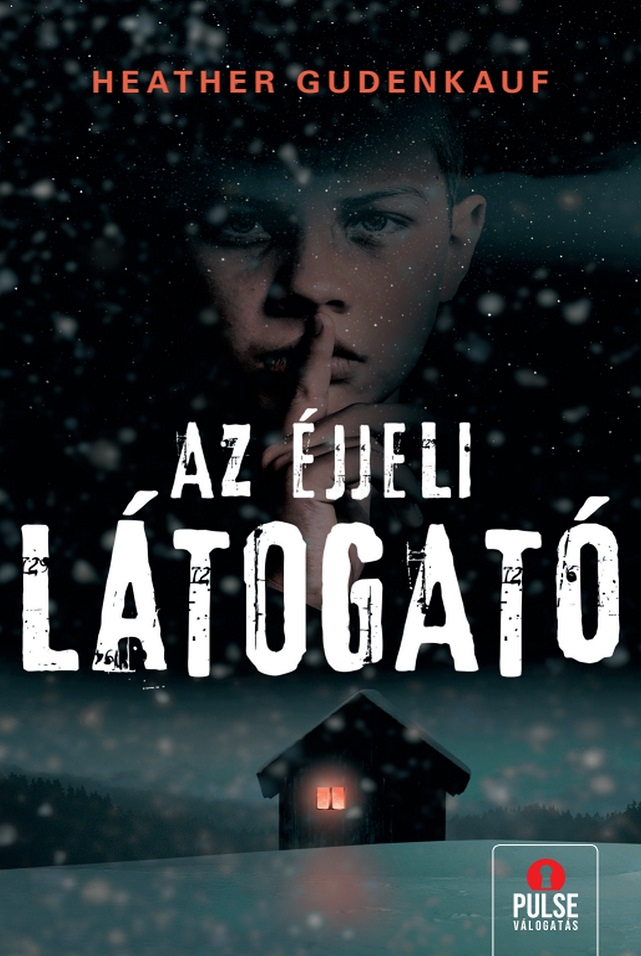 Heather Gudenkauf - Az éjjeli látogató