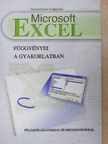 Bornemissza Zsigmond - Microsoft Excel függvényei a gyakorlatban [antikvár]