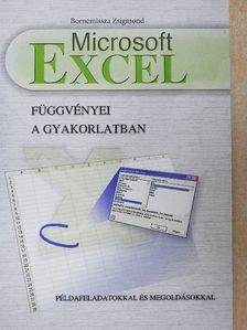 Bornemissza Zsigmond - Microsoft Excel függvényei a gyakorlatban [antikvár]