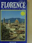 Vittorio Serra - A day in Florence [antikvár]