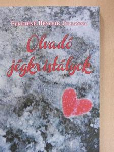 Feketéné Bencsik Julianna - Olvadó jégkristályok [antikvár]