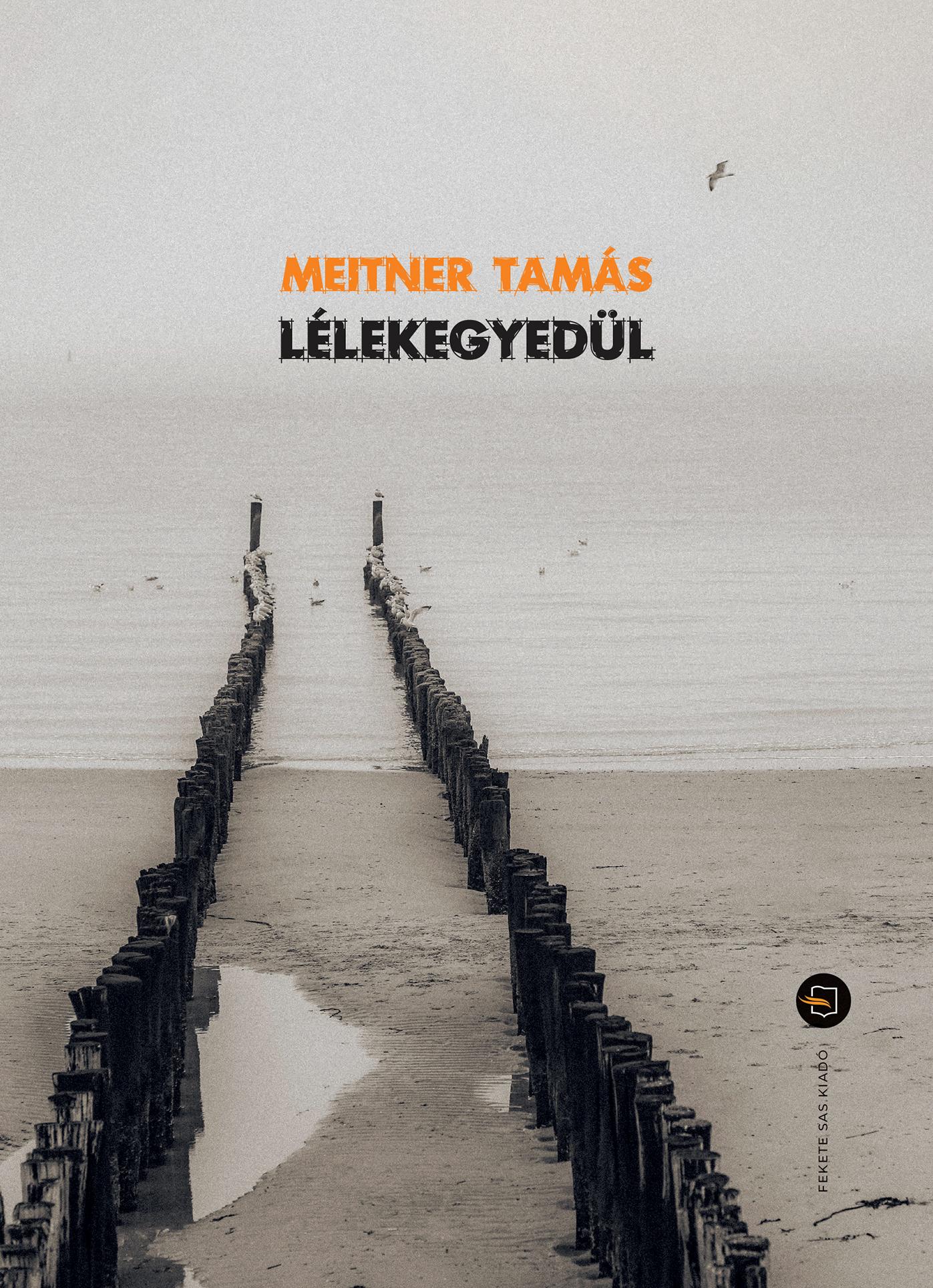 MEITNER TAMÁS - Lélekegyedül