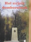 Görföl Jenő - Hol sírjaik domborulnak [antikvár]