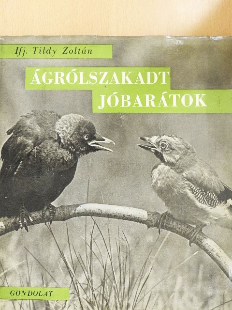 Ifj. Tildy Zoltán - Ágrólszakadt jóbarátok [antikvár]