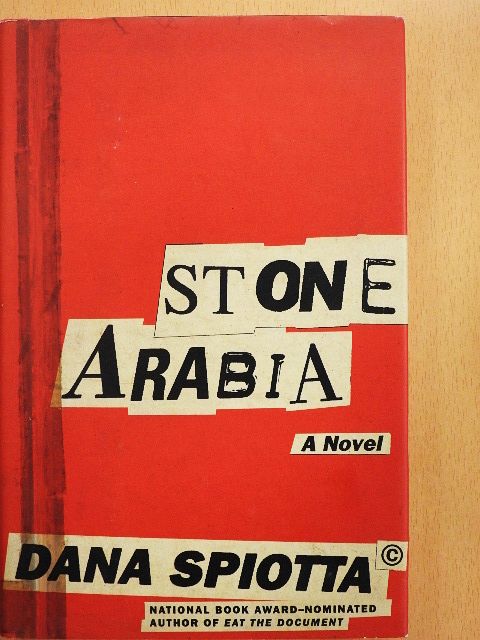 Dana Spiotta - Stone Arabia [antikvár]
